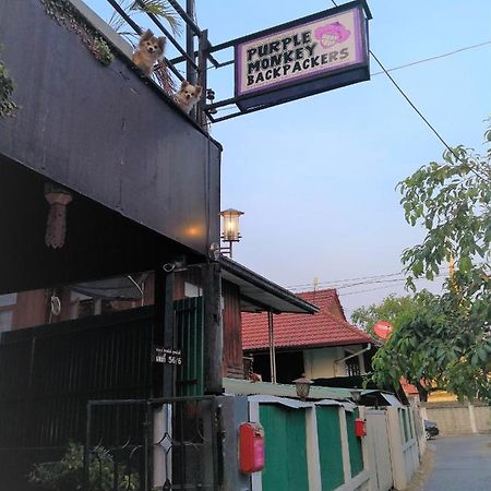 نزل Purple Monkey Backpackers شيانغ ماي المظهر الخارجي الصورة