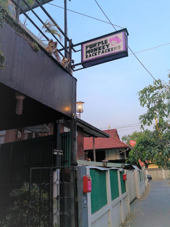 نزل Purple Monkey Backpackers شيانغ ماي المظهر الخارجي الصورة