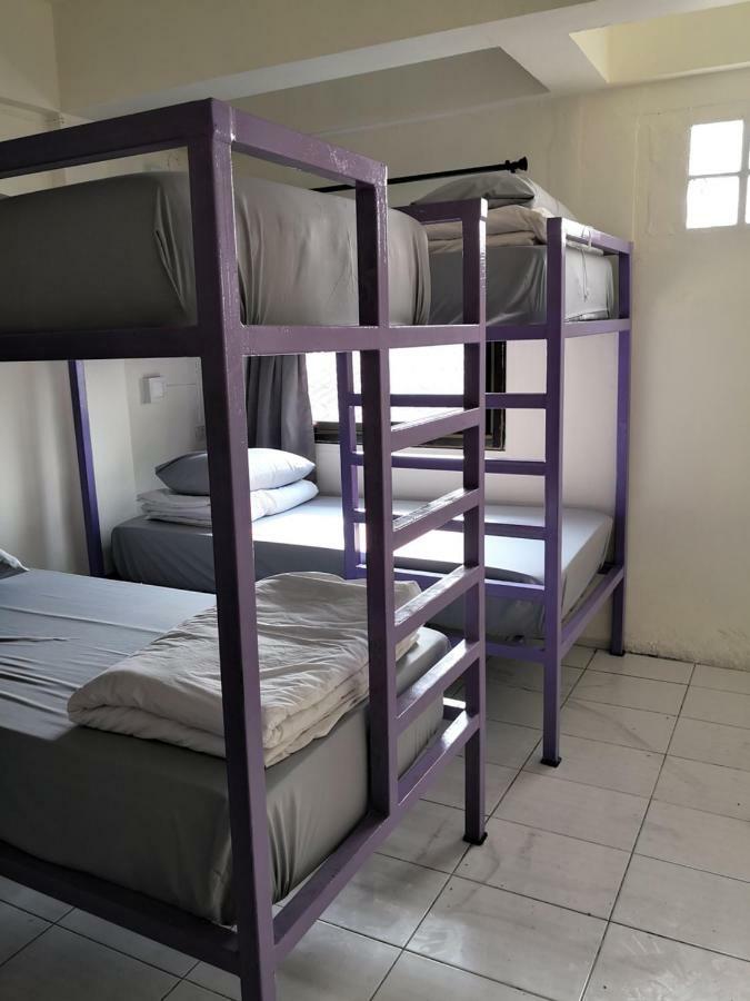 نزل Purple Monkey Backpackers شيانغ ماي المظهر الخارجي الصورة